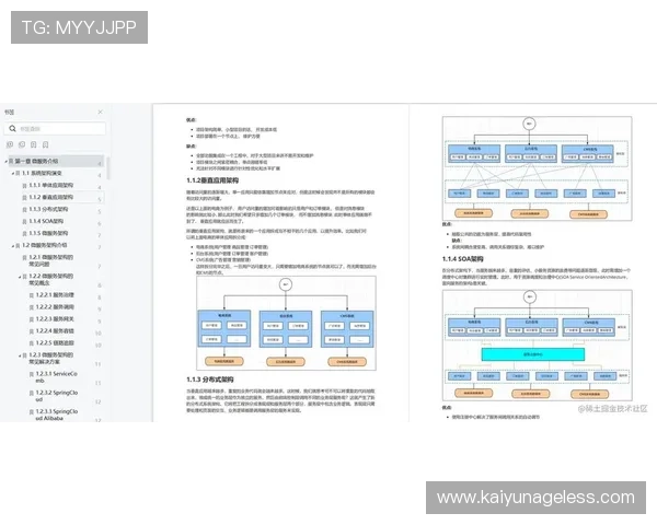 开云官网入口最新指南，轻松访问官方平台的详细步骤介绍