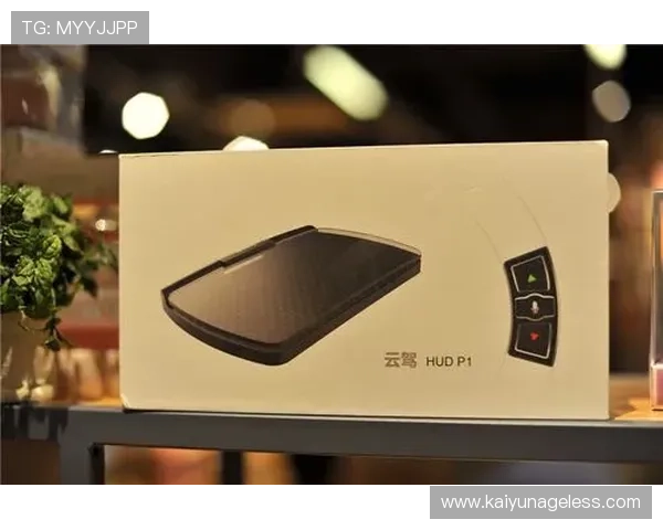 云开app网址官方最新入口地址，提供快速访问和安全保障的详细教程